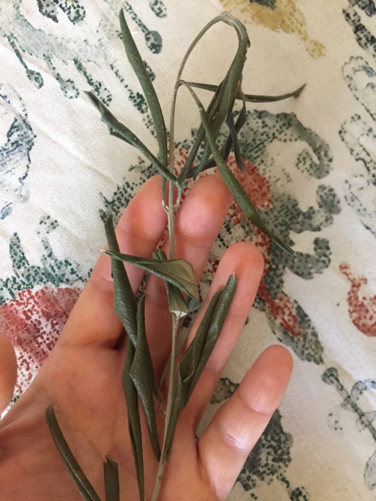 Mano que sostiene una rama de olivo